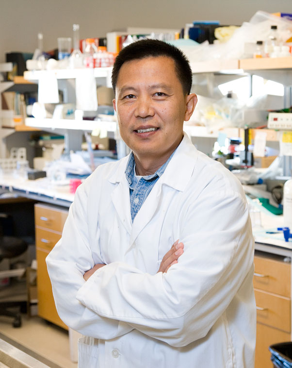 Droctor Yu Tian Wang in his lab